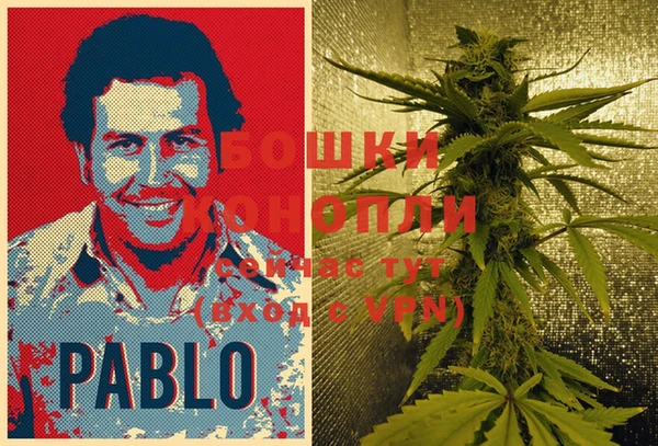 метадон Богданович