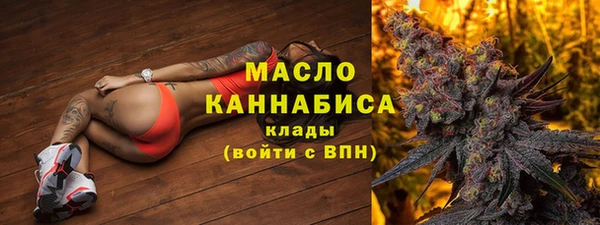 метадон Богданович