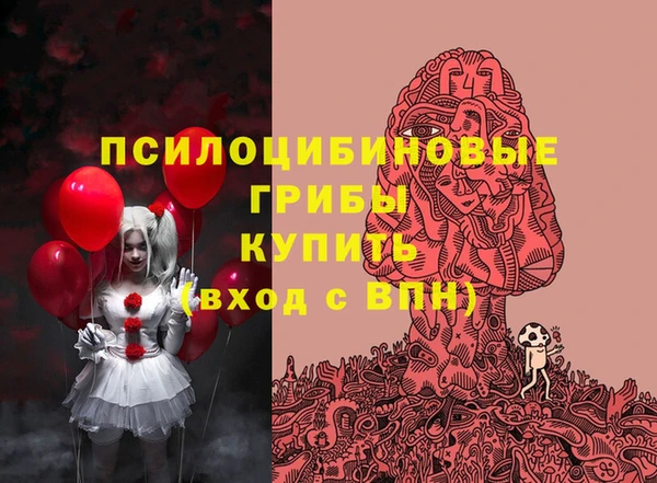 метадон Богданович