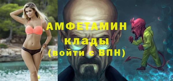 гидра Богородск