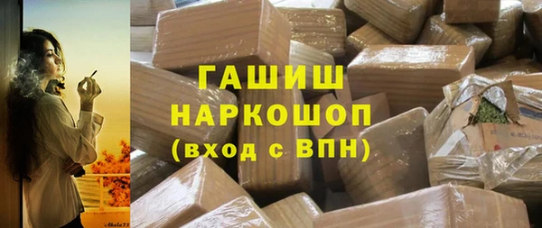 гидра Богородск