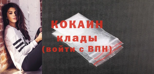 прущая мука Богородицк