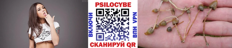 Псилоцибиновые грибы Cubensis  купить  цена  Велиж 